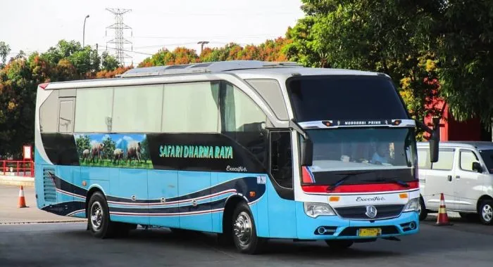 Bus OBL