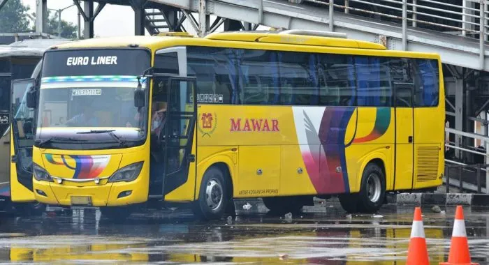 Bus Mawar AKAP