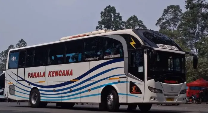 Bus Pahala Kencana