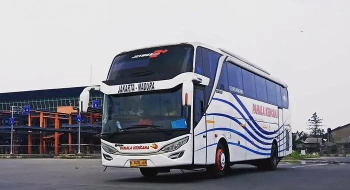 Bus Pahala Kencana