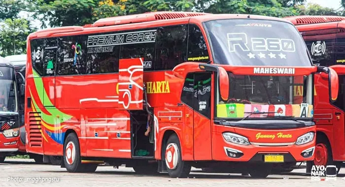 Avante Hino RK8