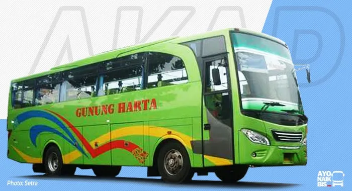 Travego