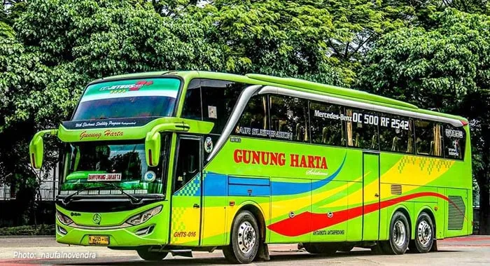 Jetbus 2+ Maxi MB 2542