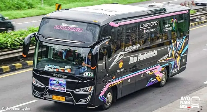 Bus Pariwisata Citra Dewi