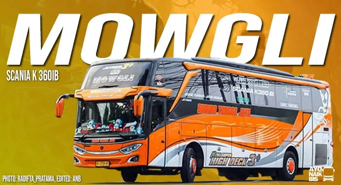 Mowgli STJ