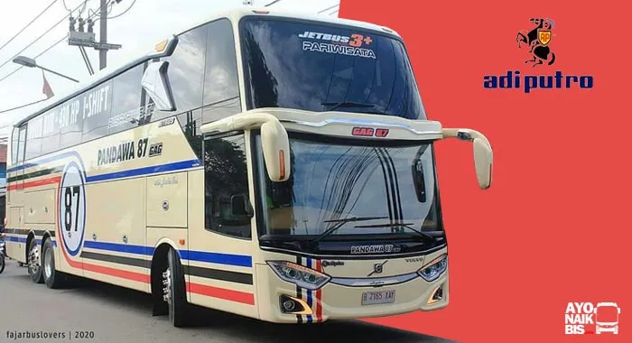 Bus Pandawa 87 Jetbus 3 UHD