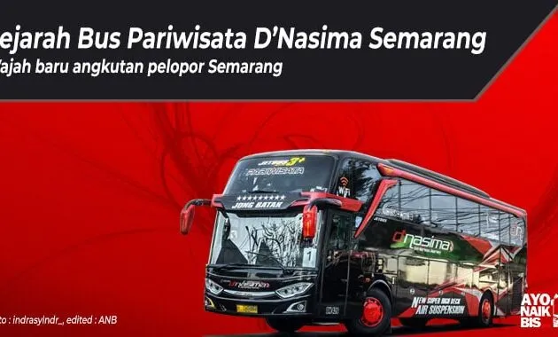 Bus Pariwisata D'Nasima