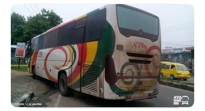 Bus NPM