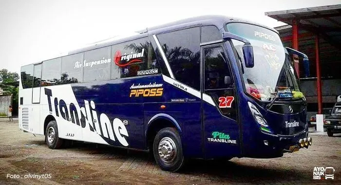 Bus Piposs Ultima
