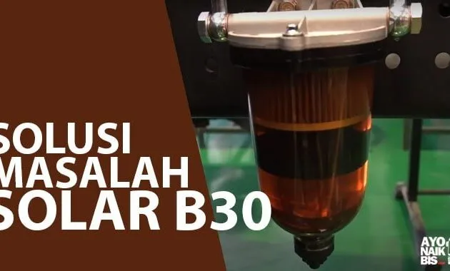 Solar B30 Strainer