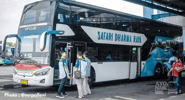 Check in Safari Dharma Raya