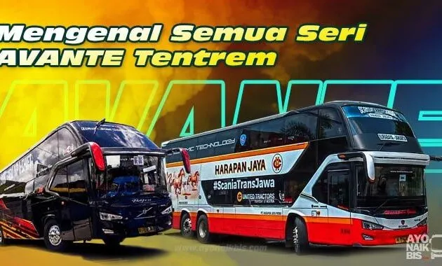 Perbedaan Avante