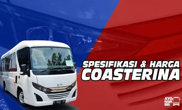 Coasterina New Armada