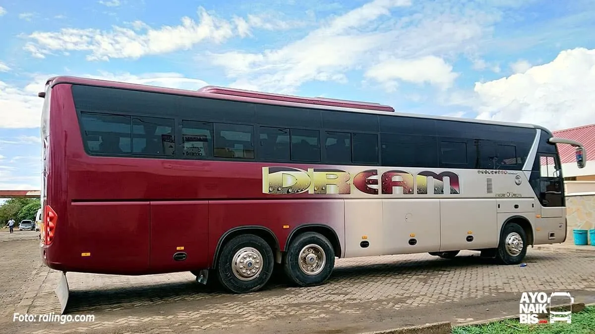 Dreamline Express